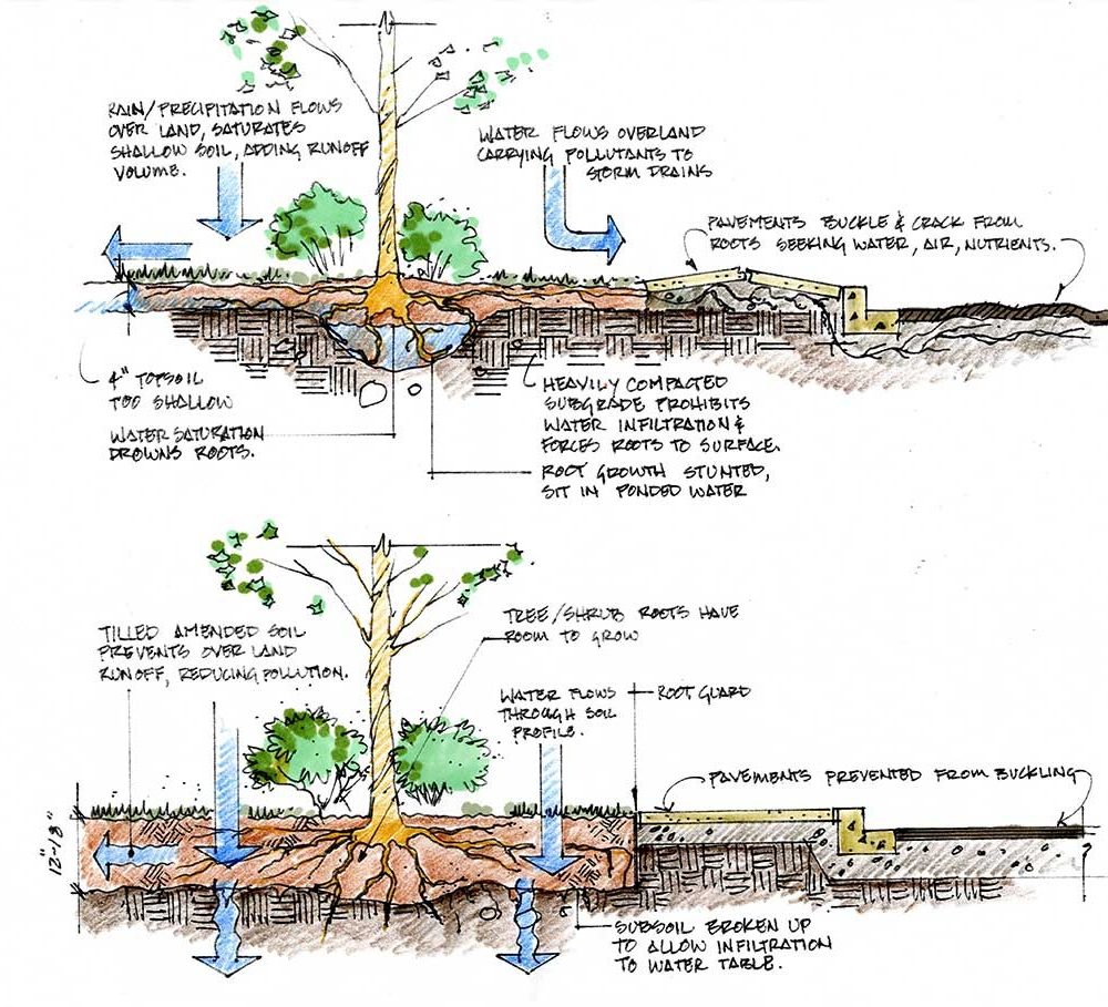 انجام پروژه deep soil