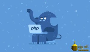 بررسی انواع داده ها در زبان برنامه نویسی PHP