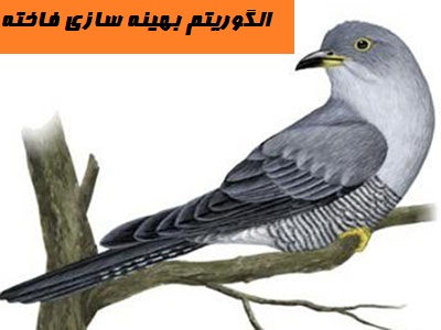انجام پروژه الگوریتم فاخته