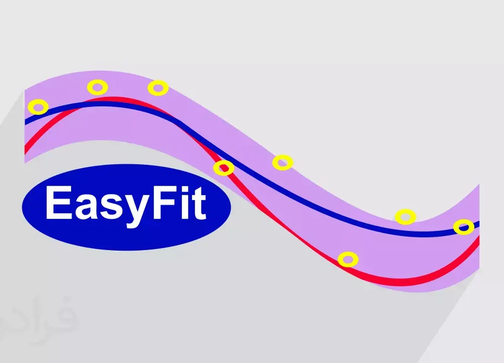 انجام پروژه Easyfit