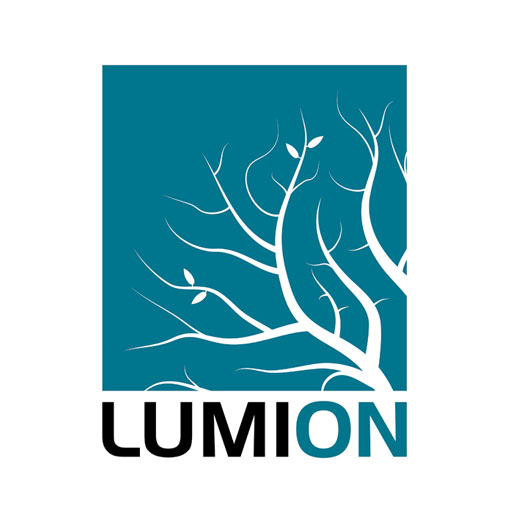 انجام پروژه لومیون (Lumion)