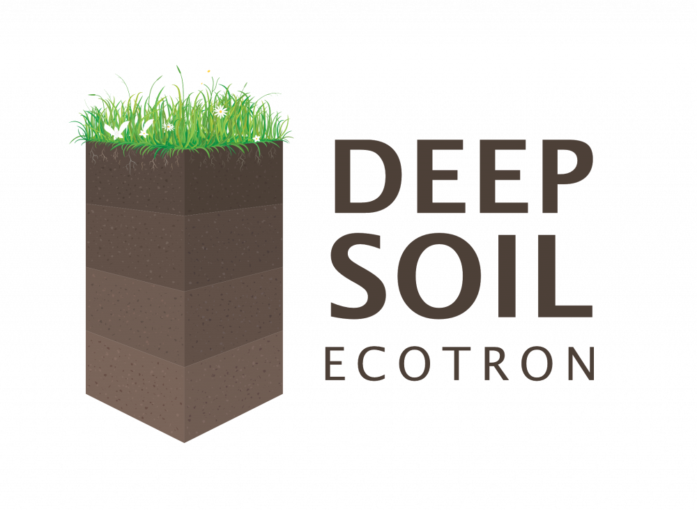انجام پروژه deep soil