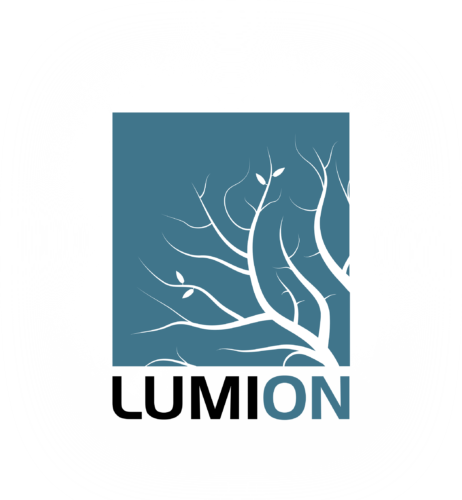 انجام پروژه لومیون (Lumion)