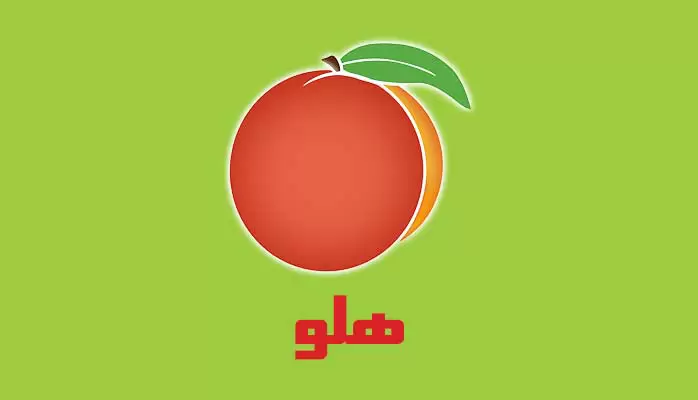 انجام پروژه هلو Holoo