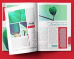 صفحه آرایی کتاب و مجله