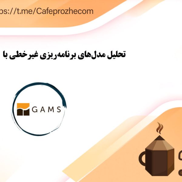 ویژگی های مدلهای برنامهریزی غیرخطی با GAMS